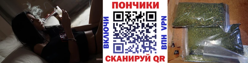 Бошки марихуана планчик  кракен зеркало  Городище 
